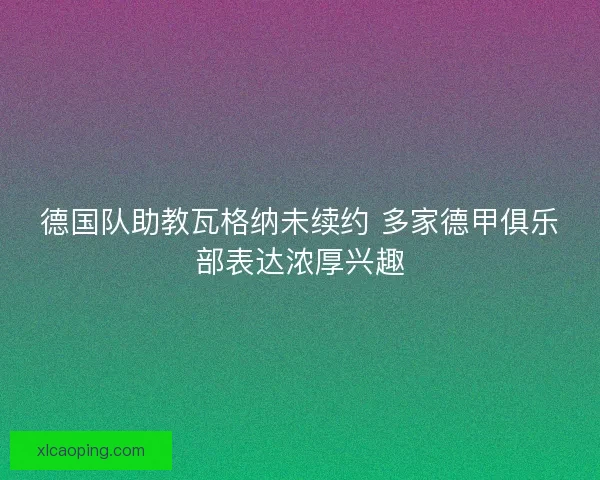 德国队助教瓦格纳未续约 多家德甲俱乐部表达浓厚兴趣