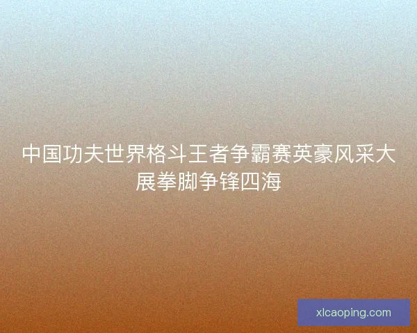 中国功夫世界格斗王者争霸赛英豪风采大展拳脚争锋四海